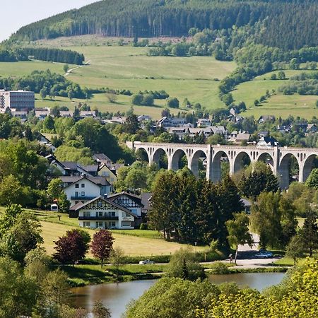 Friends & Family Domizil Willingen Appartement Willingen  Buitenkant foto