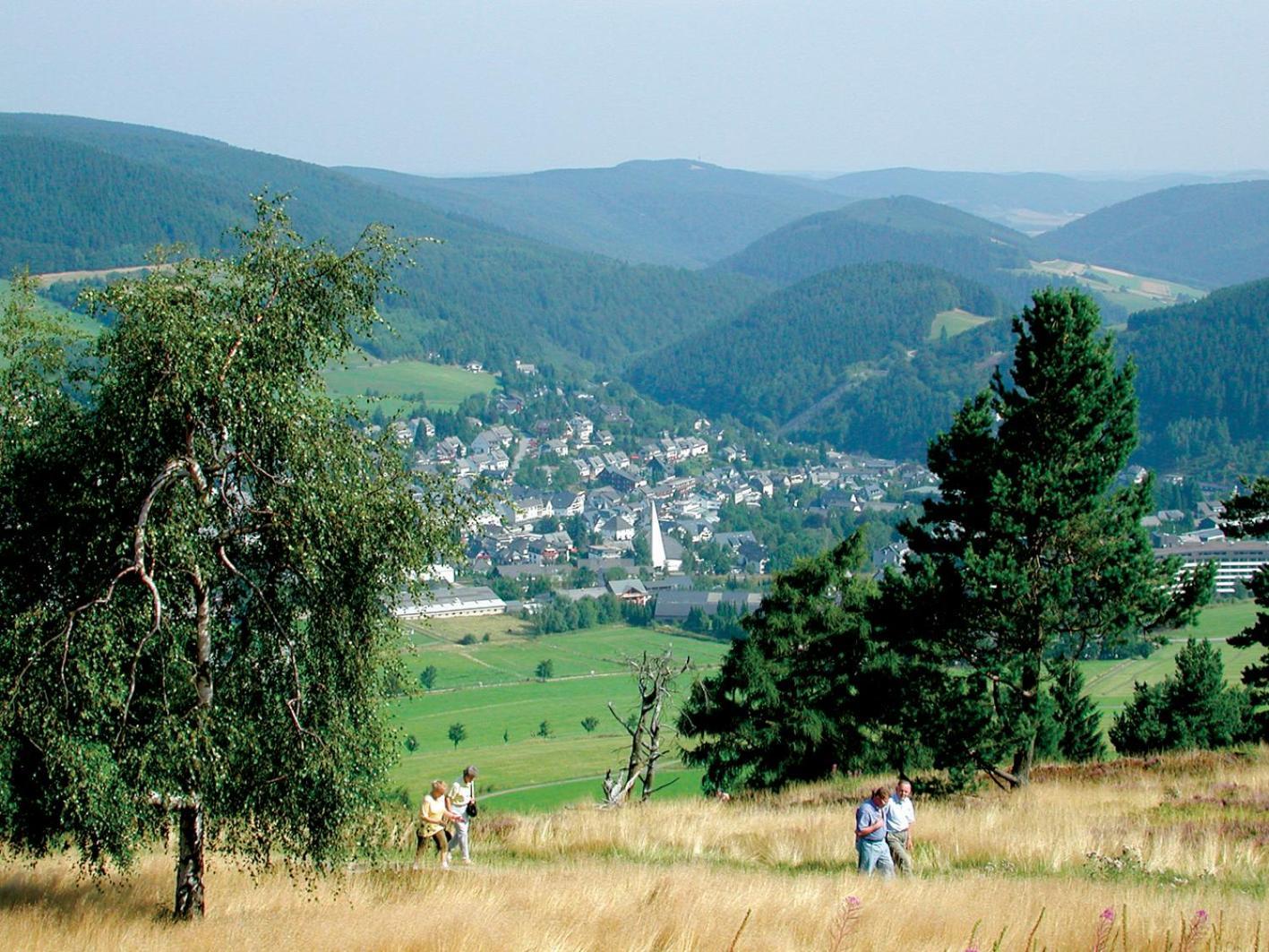 Friends & Family Domizil Willingen Appartement Willingen  Buitenkant foto